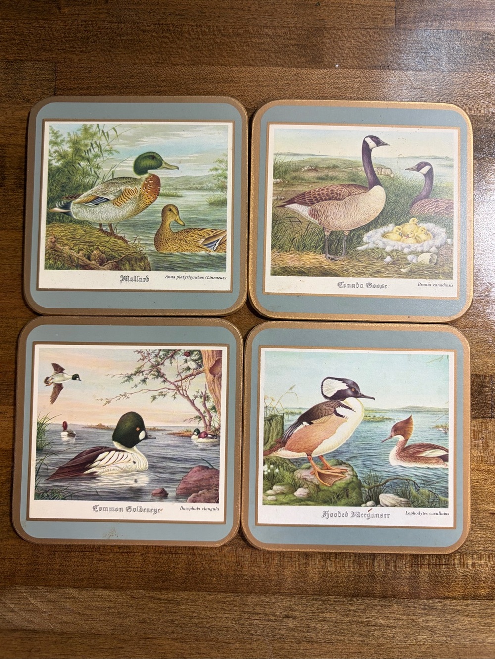 Pimpernel Duck & Goose Coaster Set in Blue, Brown, Cream